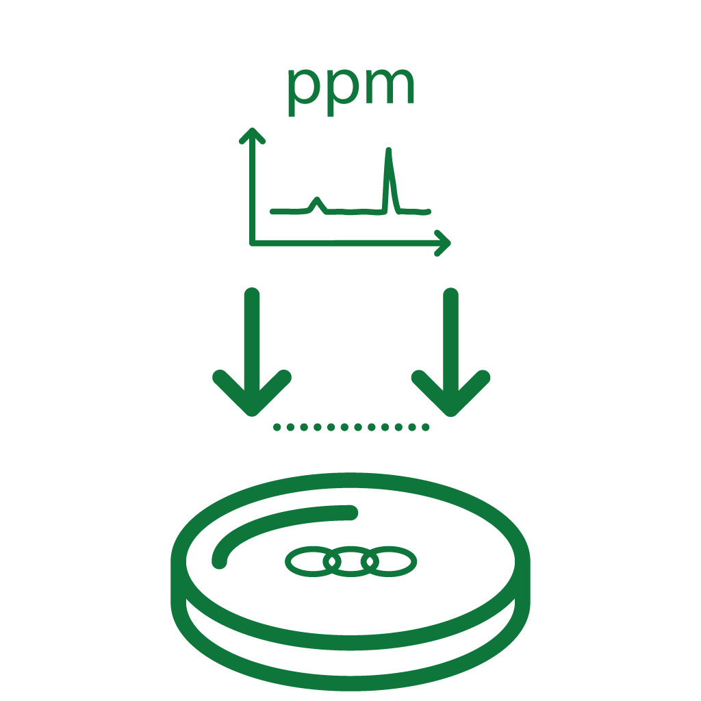 Dedicated: PCI Scan Bundle: L-, T-, Time
